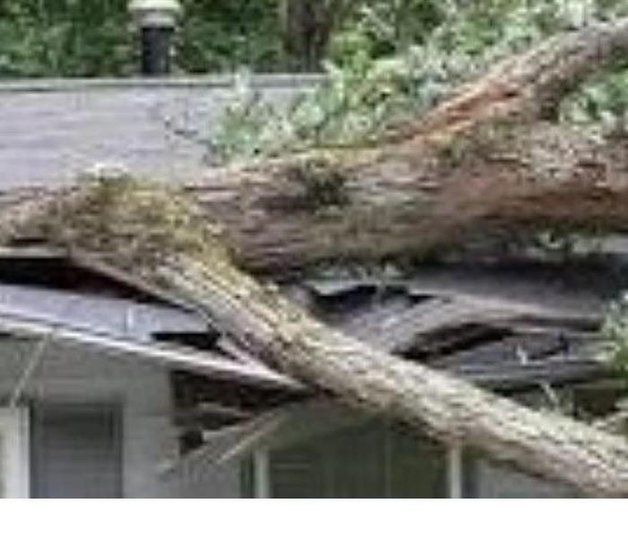 Tree falls into a house during a storm.