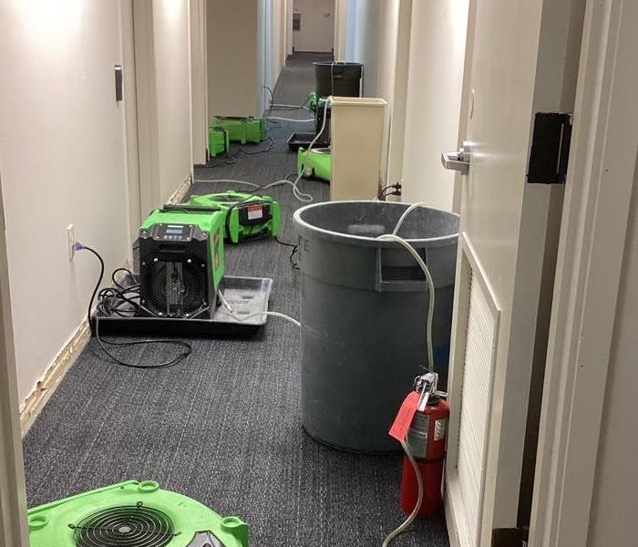 Carpet in a Bank hallway being cleanup up from water loss